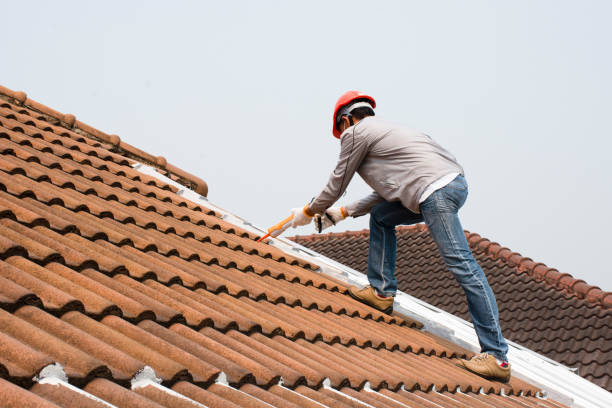 Best Roof Maintenance and Cleaning  in Medford, NY